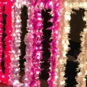 Meet your Posher, Tionne